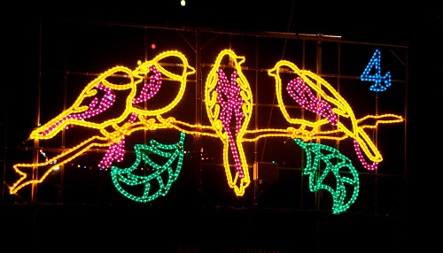  4 Calling Birds 2013