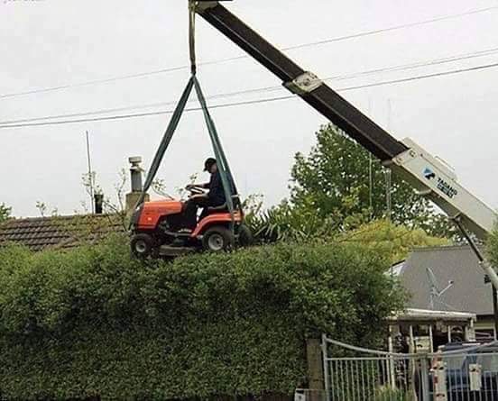 High rise hedge trimming High rise hedge trimming